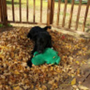 Meet your Posher, Jeff